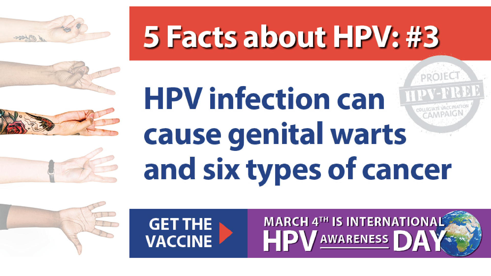 HPV3
